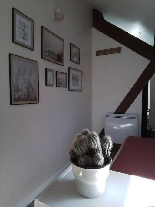 Charmante Petite Maison Vieux  ภายนอก รูปภาพ
